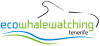 ecowhalewatching