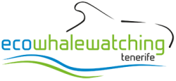 ecowhalewatching